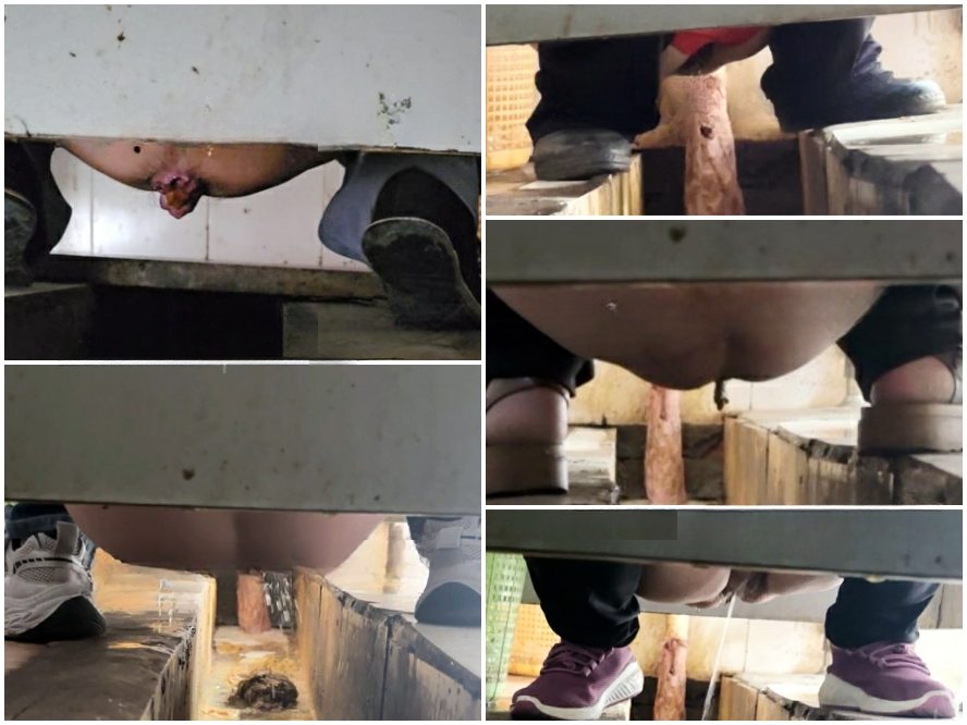 Spy Camera [過激／トイレ隠し撮り] 女性POV：和式・汲み取り式トイレの隠しカメラ – 画面いっぱいの糞便と下痢 (Vol. 35)