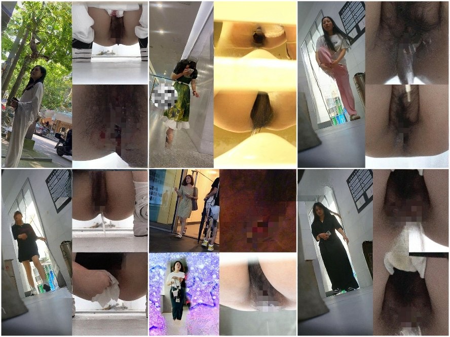 Hidden Camera 【新作流出】トイレ盗撮の達人による高画質映像。ショッピングモール、オフィスビル、ビリヤード場の女子トイレにて、スマホ…
